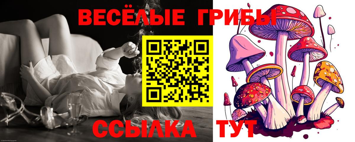 Галлюциногенные грибы Magic Shrooms Ефремов