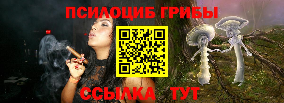 Псилоцибиновые грибы мицелий  Галлюциногенные грибы прущие грибы  Вход с VPN  Ефремов 